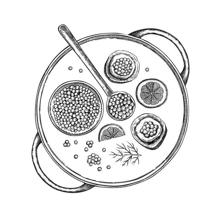 Hand-drawn tray with canned caviar, red caviar canape, lemons and dill illustrations. Finger food sketches set. Seafood delicacy drawings in sketched style isolated on white background